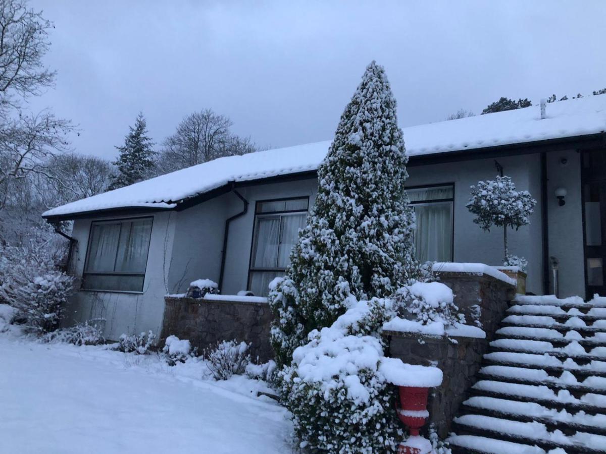 Villacai Nailsea Экстерьер фото